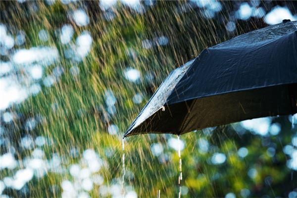 梦见晒被子下雨是什么预兆,梦见晒被子下雨是什么意思 梦见晒被子下雨是什么预兆,梦见晒被子下雨是什么意思