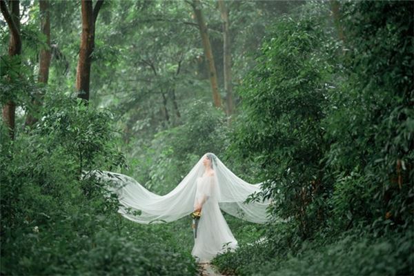 梦见下雨没带伞是什么预兆,梦见下雨没带伞是什么意思