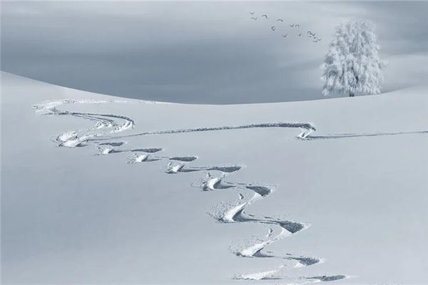 梦见白茫茫的雪是什么预兆,梦见白茫茫的雪是什么意思