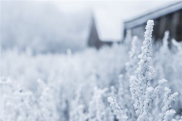 梦见冰雪是什么预兆,梦见冰雪是什么意思