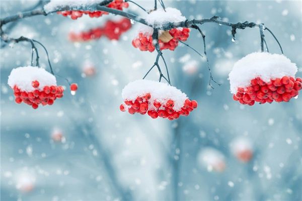 梦见雪下雪是什么预兆,梦见雪下雪是什么意思 梦见雪下雪是什么预兆,梦见雪下雪是什么意思