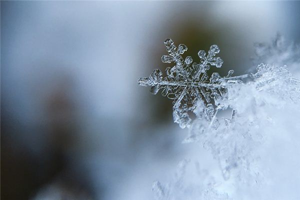 梦见露成霜雪是什么预兆,梦见露成霜雪是什么意思 梦见露成霜雪是什么预兆,梦见露成霜雪是什么意思