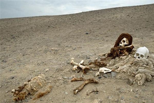 梦见盗墓是什么预兆,梦见盗墓是什么意思 梦见盗墓是什么预兆,梦见盗墓是什么意思