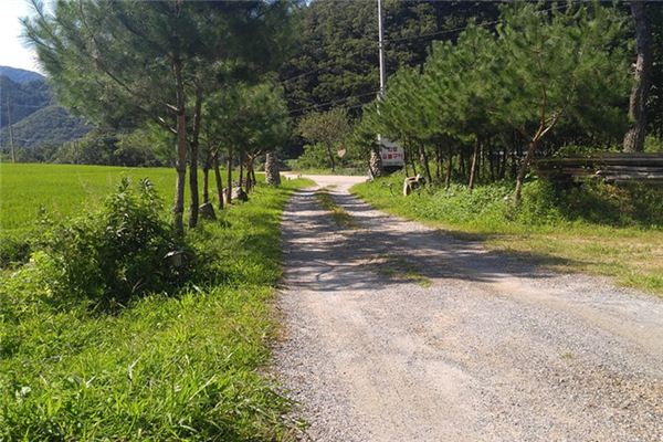 梦见路断了是什么预兆,梦见路断了是什么意思 梦见路断了是什么预兆,梦见路断了是什么意思