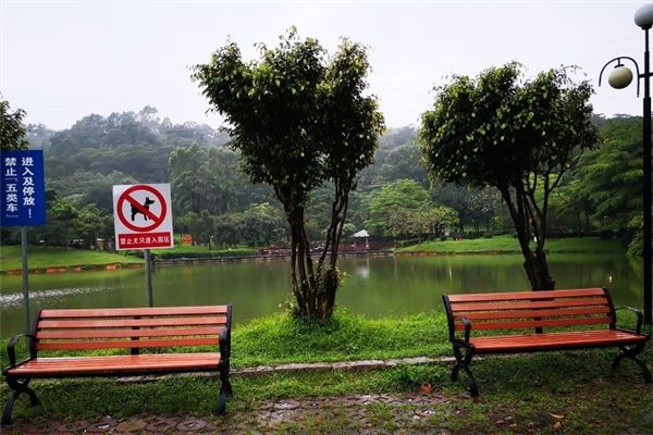梦见雨水淋湿花草是什么预兆,梦见雨水淋湿花草是什么意思 梦见雨水淋湿花草是什么预兆,梦见雨水淋湿花草是什么意思