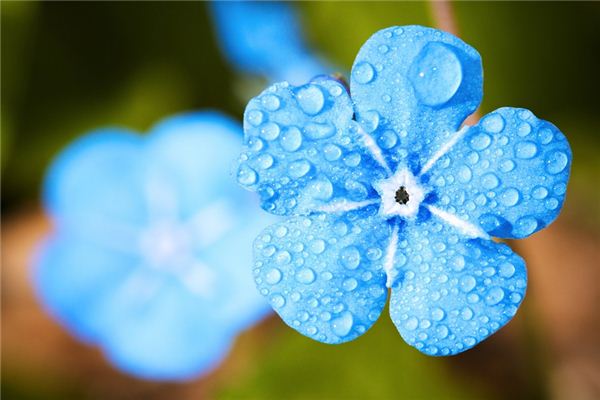 梦见雨停了是什么预兆,梦见雨停了是什么意思 梦见雨停了是什么预兆,梦见雨停了是什么意思