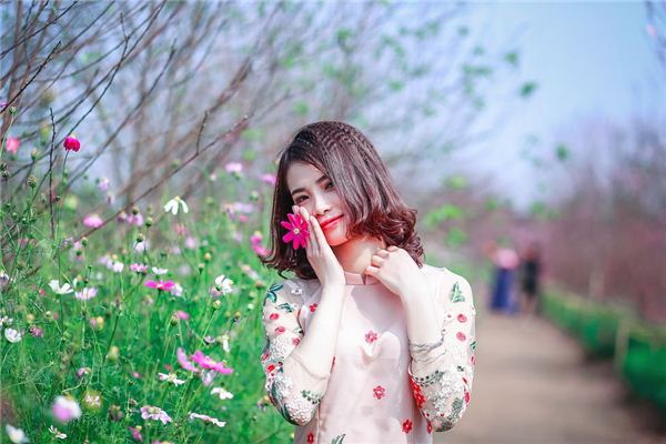 少女相夫诀 少女相夫诀