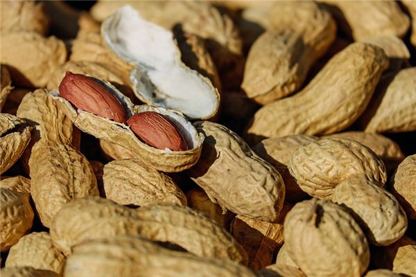 梦见种花生是什么预兆,梦见种花生是什么意思 梦见种花生是什么预兆,梦见种花生是什么意思