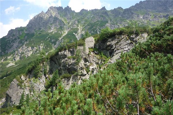 梦见挖山是什么预兆,梦见挖山是什么意思 梦见挖山是什么预兆,梦见挖山是什么意思