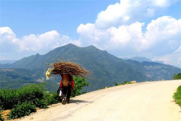 梦见上山捡柴是什么预兆,梦见上山捡柴是什么意思