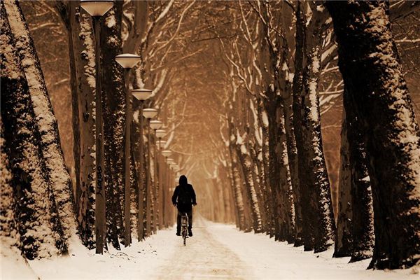 梦见雪地骑车是什么预兆,梦见雪地骑车是什么意思 梦见雪地骑车是什么预兆,梦见雪地骑车是什么意思