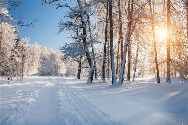 梦见窗外下雪是什么预兆,梦见窗外下雪是什么意思 梦见窗外下雪是什么预兆,梦见窗外下雪是什么意思
