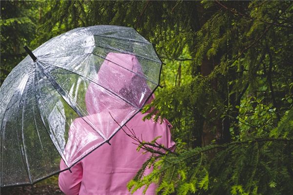 梦见下雨买伞是什么预兆,梦见下雨买伞是什么意思