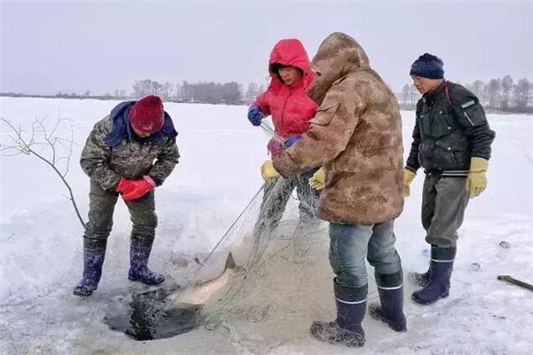 梦见有人偷鱼是什么预兆,梦见有人偷鱼是什么意思 梦见有人偷鱼是什么预兆,梦见有人偷鱼是什么意思