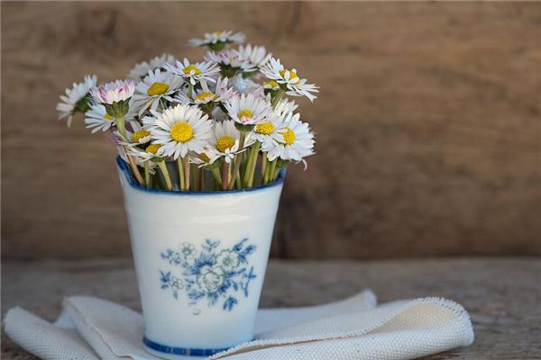 梦见花瓶里插着鲜花是什么预兆,梦见花瓶里插着鲜花是什么意思