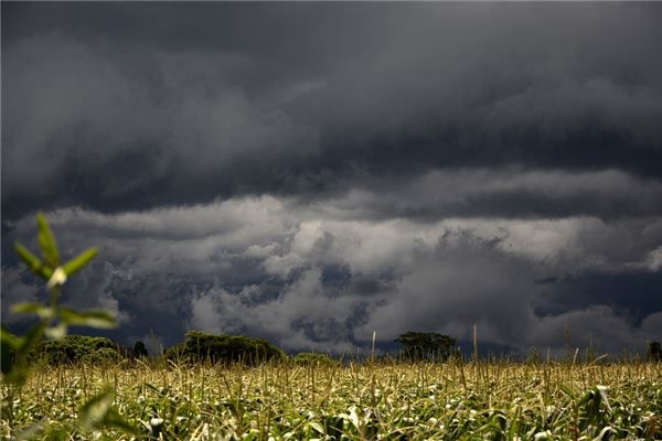 梦见走在路上下小雨是什么预兆,梦见走在路上下小雨是什么意思