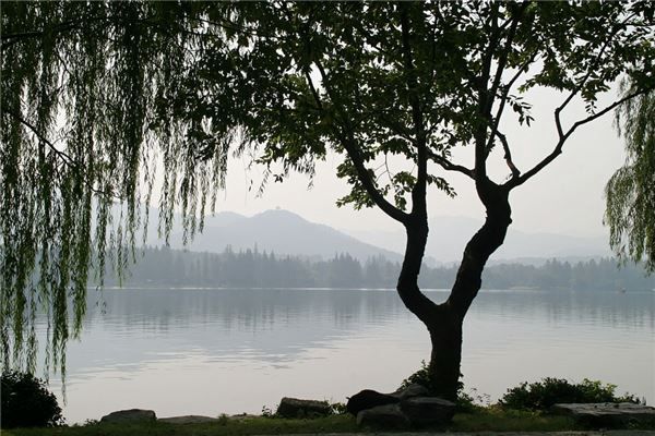梦见掉进池塘是什么预兆,梦见掉进池塘是什么意思 梦见掉进池塘是什么预兆,梦见掉进池塘是什么意思