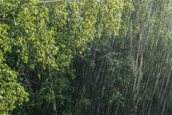 梦见下大暴雨是什么预兆,梦见下大暴雨是什么意思