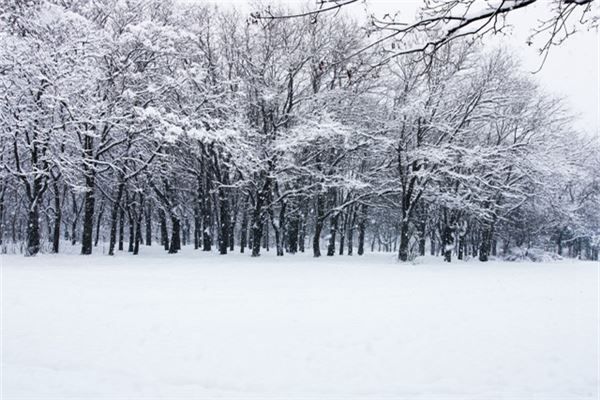 梦见狂风暴雪是什么预兆,梦见狂风暴雪是什么意思