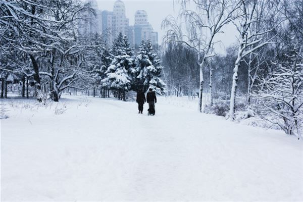 梦见一片雪地是什么预兆,梦见一片雪地是什么意思 梦见一片雪地是什么预兆,梦见一片雪地是什么意思