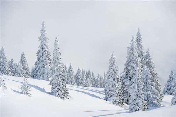 梦见六月下雪是什么预兆,梦见六月下雪是什么意思 梦见六月下雪是什么预兆,梦见六月下雪是什么意思