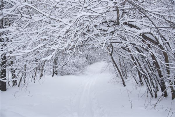 梦见过年下雪是什么预兆,梦见过年下雪是什么意思 梦见过年下雪是什么预兆,梦见过年下雪是什么意思