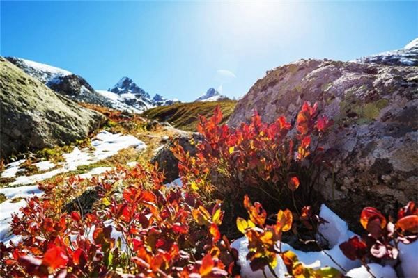 梦见山崩塌是什么预兆,梦见山崩塌是什么意思