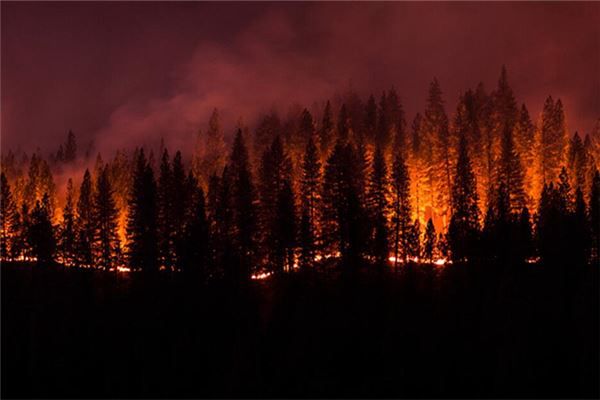 梦见山上起火是什么预兆,梦见山上起火是什么意思 梦见山上起火是什么预兆,梦见山上起火是什么意思