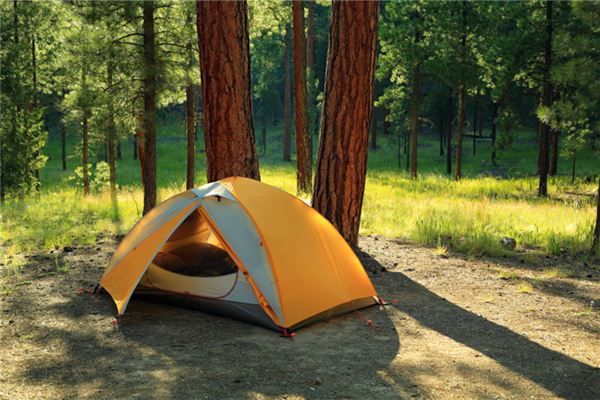 梦见在山谷露营是什么预兆,梦见在山谷露营是什么意思 梦见在山谷露营是什么预兆,梦见在山谷露营是什么意思