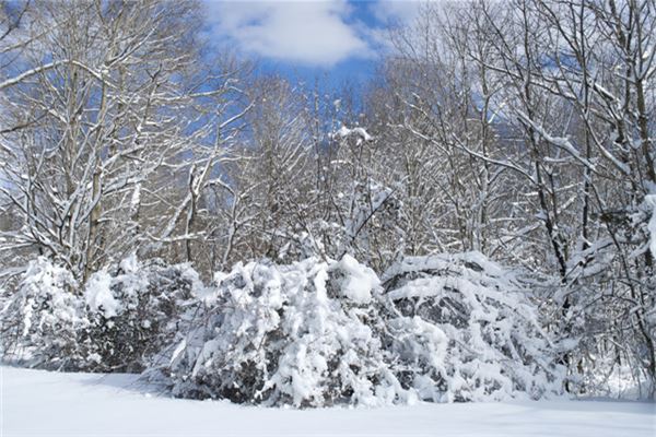 梦见下雪或积雪是什么预兆,梦见下雪或积雪是什么意思 梦见下雪或积雪是什么预兆,梦见下雪或积雪是什么意思