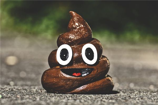 梦见床上有大便是什么预兆,梦见床上有大便是什么意思 梦见床上有大便是什么预兆,梦见床上有大便是什么意思