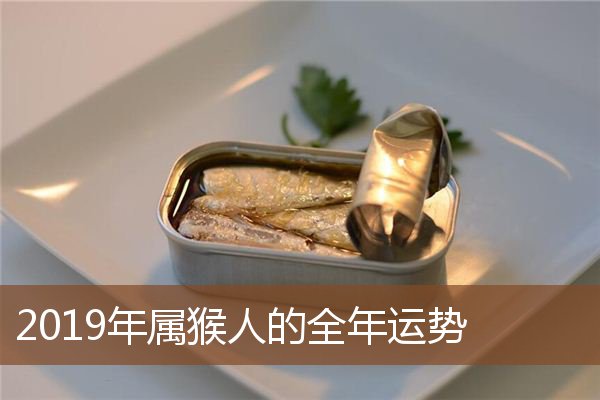2019年属猴人的全年运势
