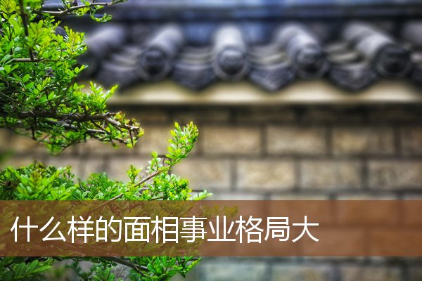 什么样的面相事业格局大 什么样的面相事业格局大