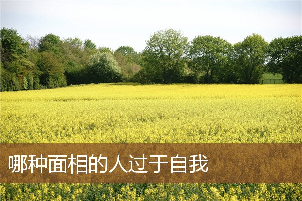 哪种面相的人过于自我 哪种面相的人过于自我