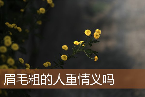 眉毛粗的人重情义吗 眉毛粗的人重情义吗