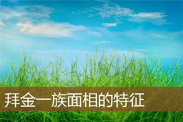 拜金一族面相的特征 拜金一族面相的特征