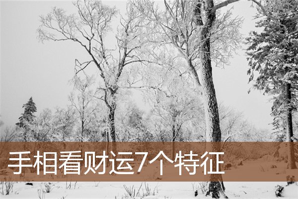 手相看财运7个特征 手相看财运7个特征