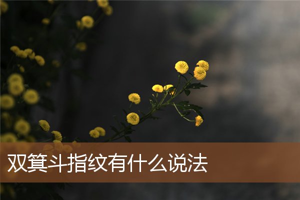 双箕斗指纹有什么说法 双箕斗指纹有什么说法