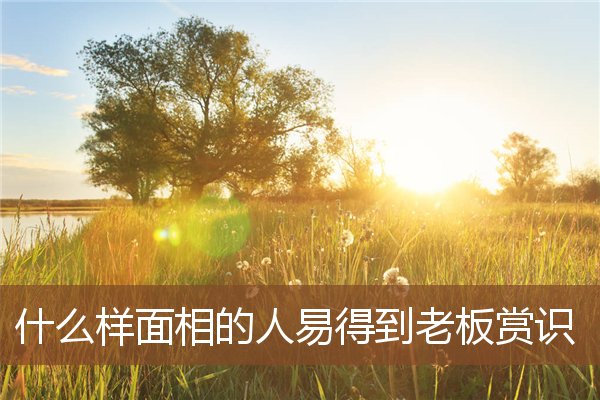 什么样面相的人易得到老板赏识 什么样面相的人易得到老板赏识