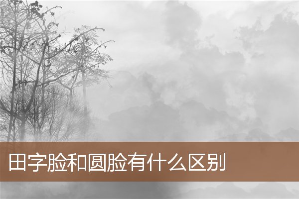 田字脸和圆脸有什么区别 田字脸和圆脸有什么区别