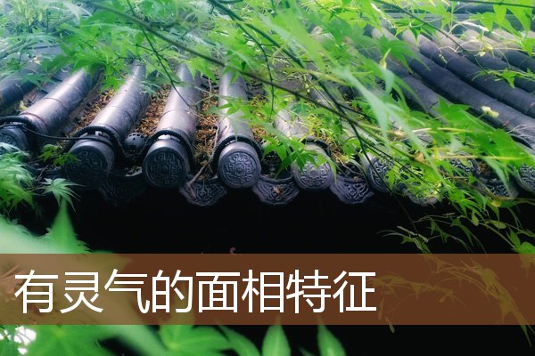 有灵气的面相特征 有灵气的面相特征