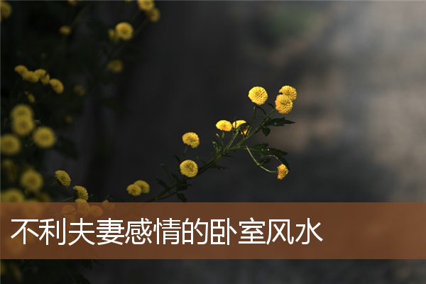 不利夫妻感情的卧室风水 不利夫妻感情的卧室风水