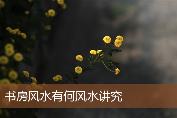 书房风水有何风水讲究 书房风水有何风水讲究