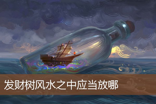 发财树风水之中应当放哪 发财树风水之中应当放哪