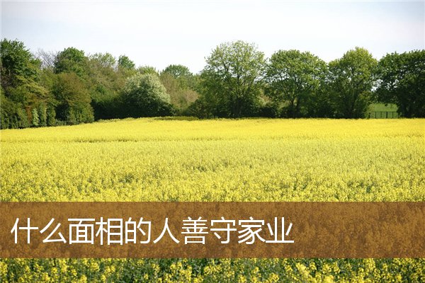 什么面相的人善守家业 什么面相的人善守家业
