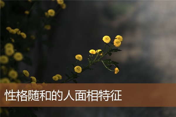 性格随和的人面相特征 性格随和的人面相特征