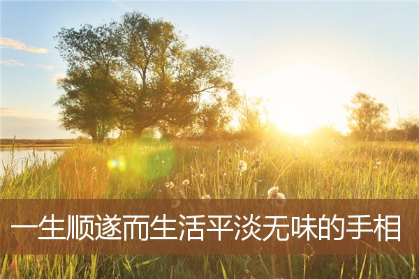 一生顺遂而生活平淡无味的手相