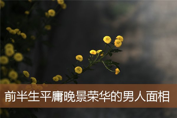 前半生平庸晚景荣华的男人面相 前半生平庸晚景荣华的男人面相