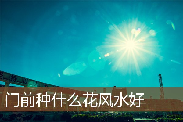 门前种什么花风水好 门前种什么花风水好
