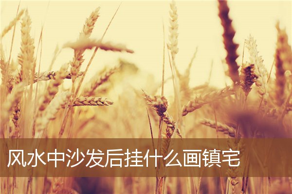 风水中沙发后挂什么画镇宅 风水中沙发后挂什么画镇宅